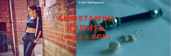 стаф Вязьма