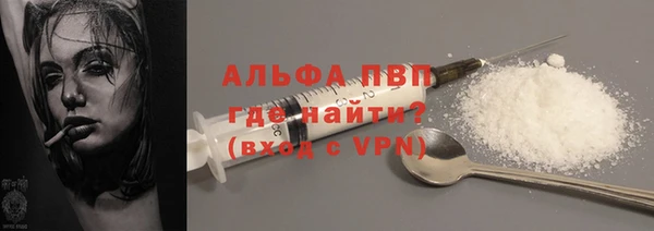стаф Вязьма