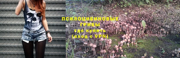 стаф Вязьма