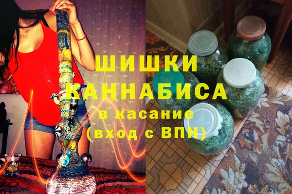стаф Вязьма