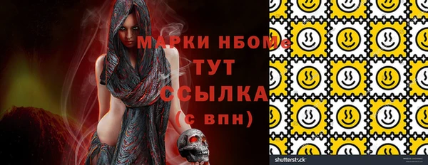 стаф Вязьма