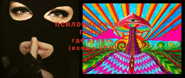 стаф Вязьма
