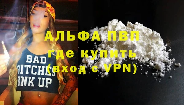 стаф Вязьма