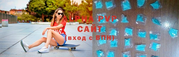 стаф Вязьма