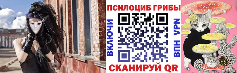 продажа наркотиков  Ветлуга  Псилоцибиновые грибы Psilocybe 